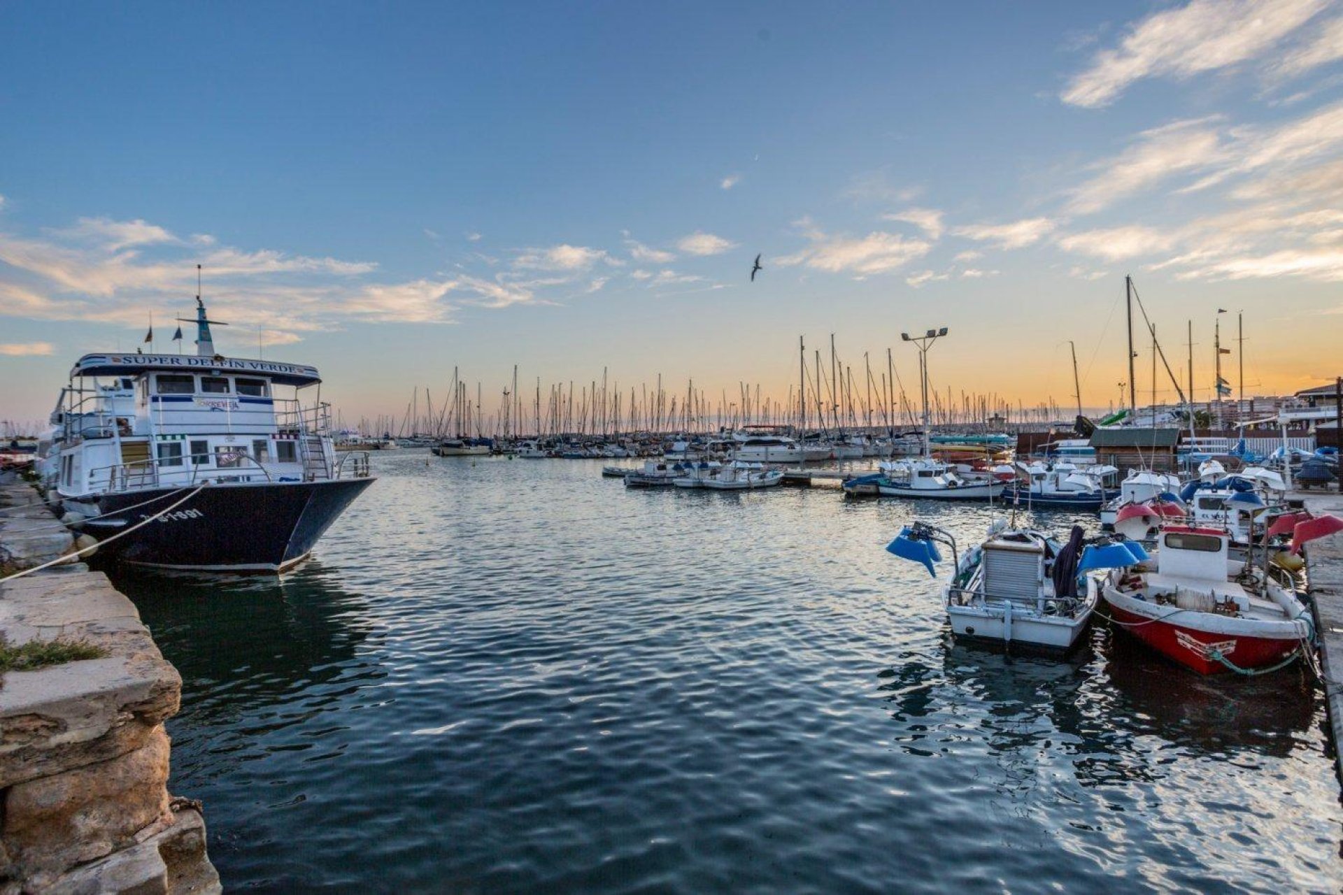 Revente - Étude - Torrevieja - Centro