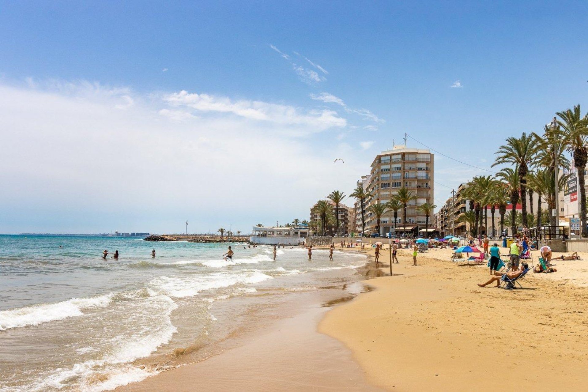 Revente - Étude - Torrevieja - Centro