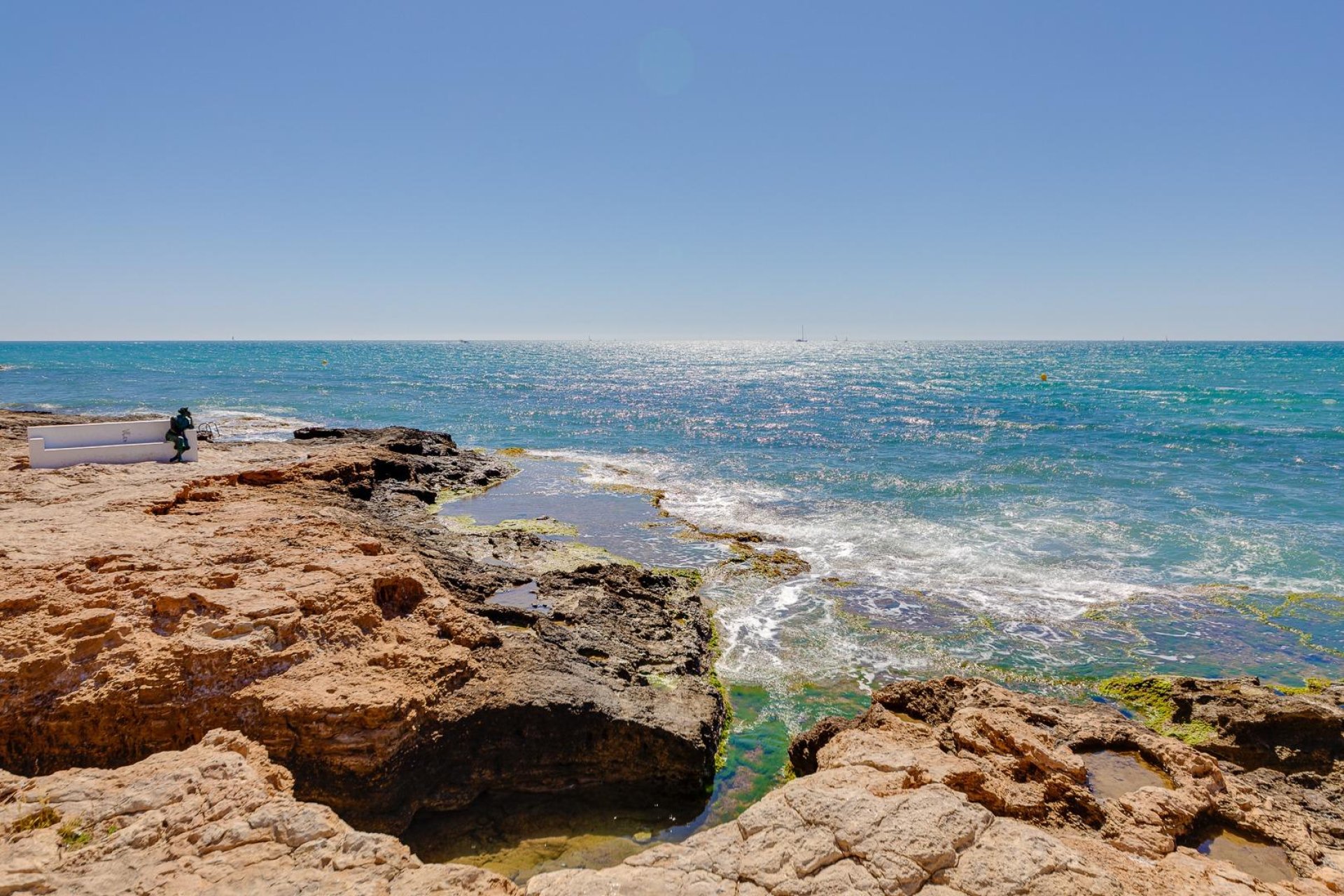 Revente - Étude - Torrevieja - Centro