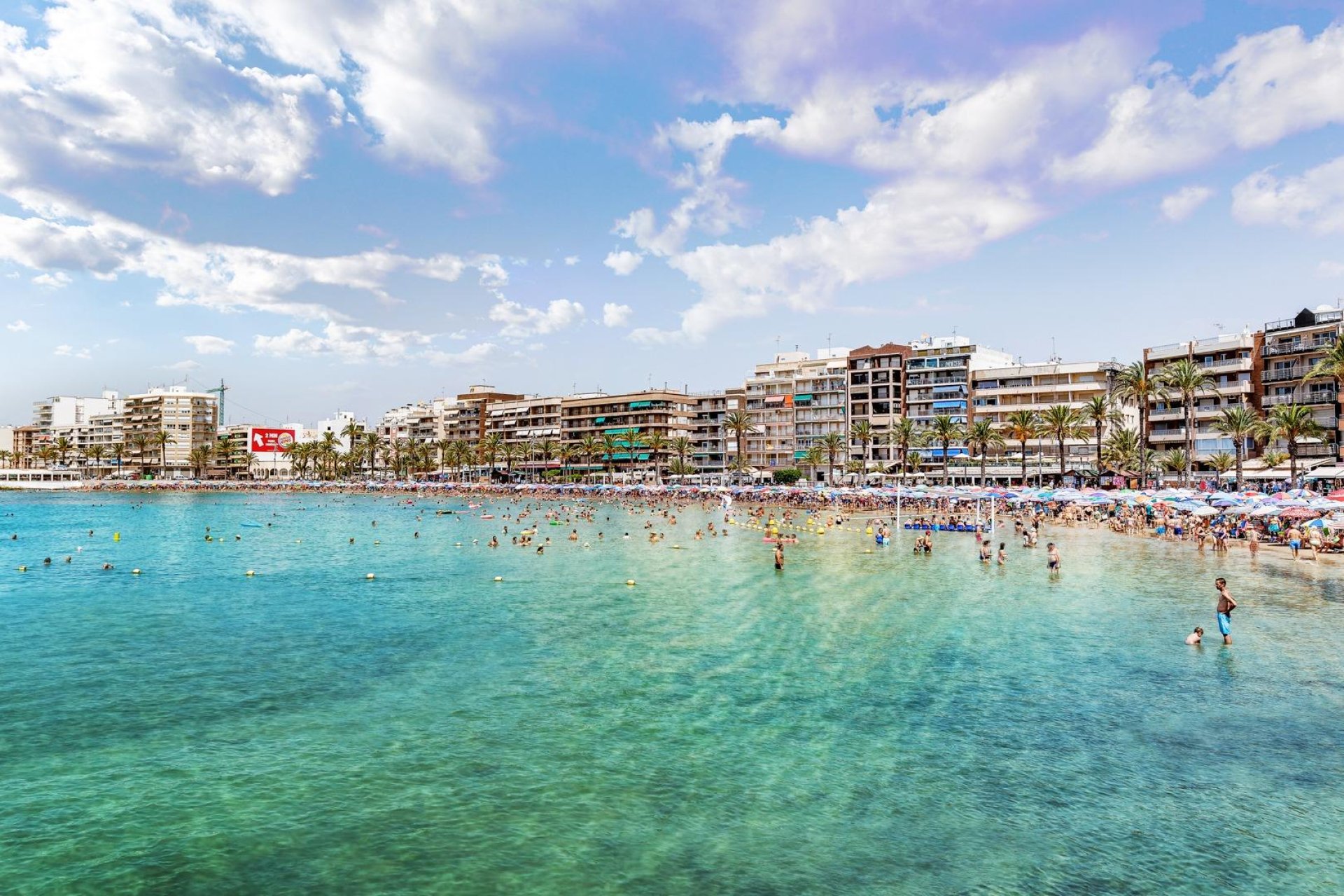 Revente - Étude - Torrevieja - Centro