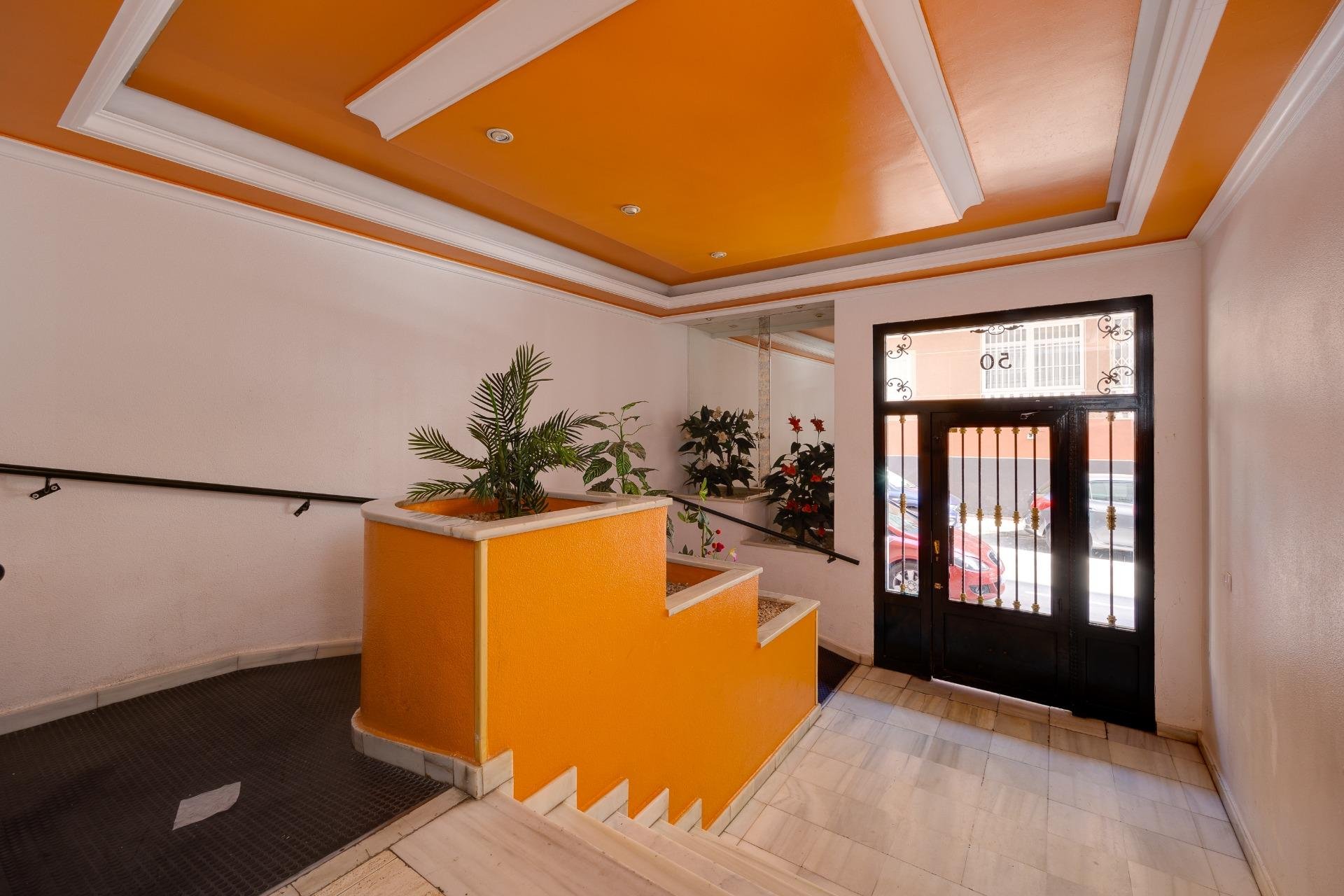 Revente - Étude - Torrevieja - Habaneras