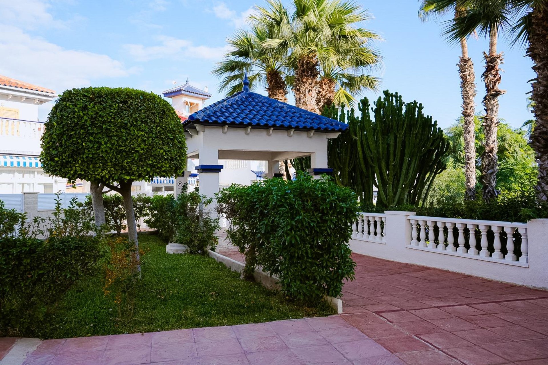 Revente - Étude - Torrevieja - La Mata