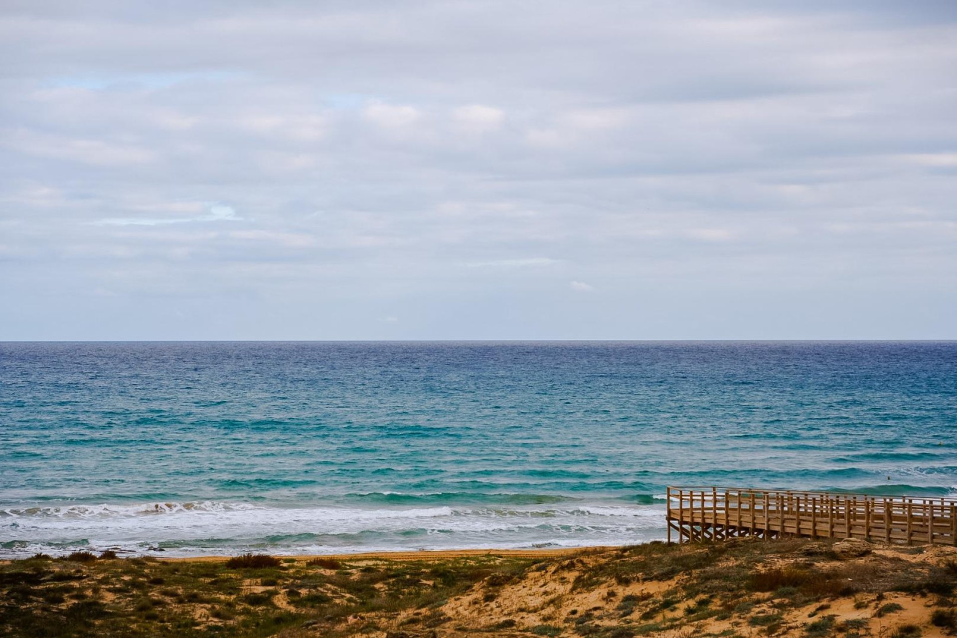 Revente - Étude - Torrevieja - La Mata