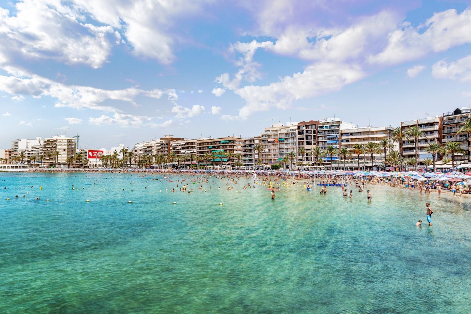 Revente - Étude - Torrevieja - Playa del Cura