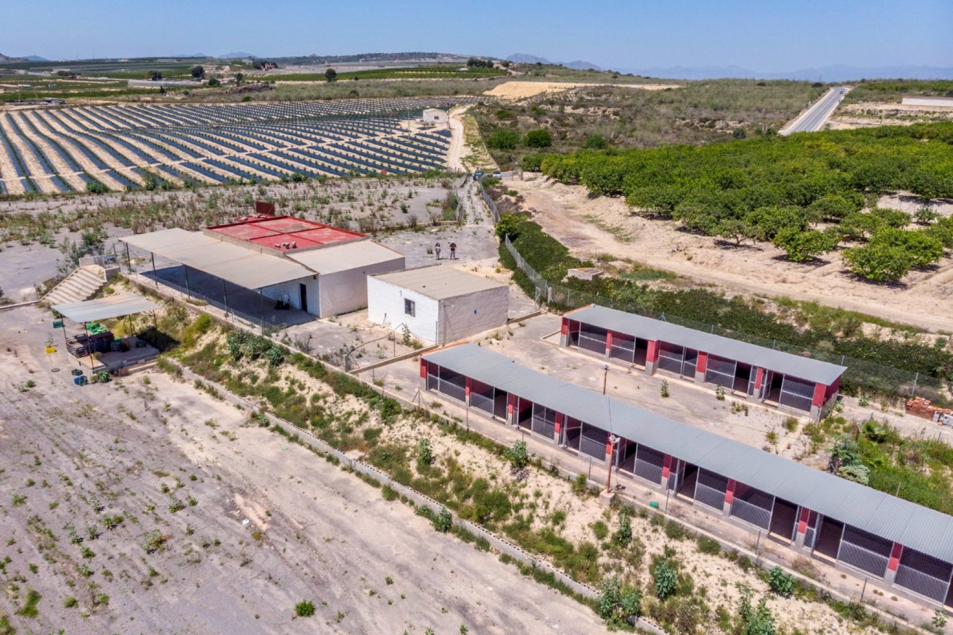 Revente - Finca rústica - Montesinos - LOS MONTESINOS