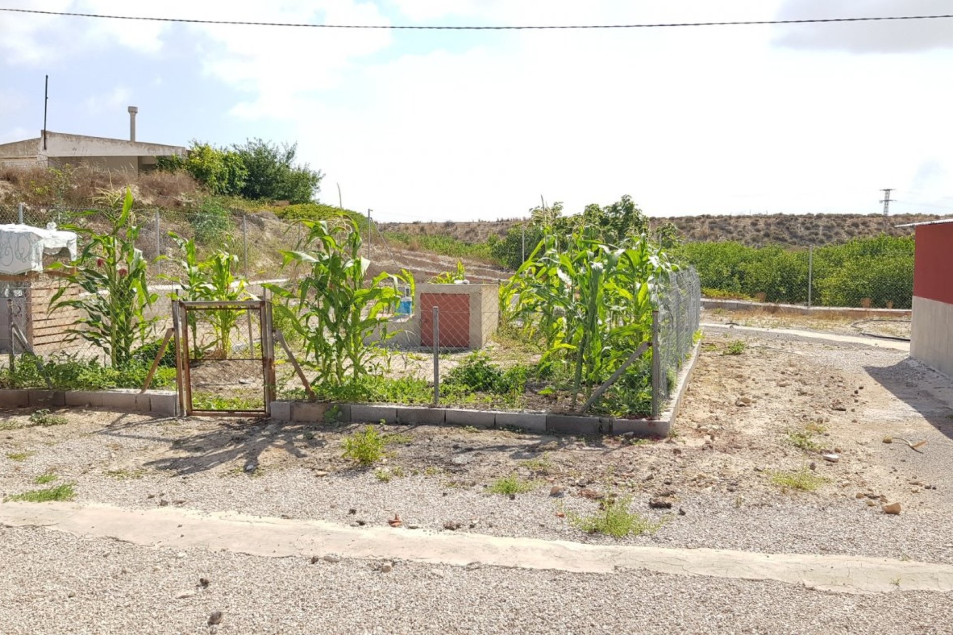 Revente - Finca rústica - Montesinos - LOS MONTESINOS