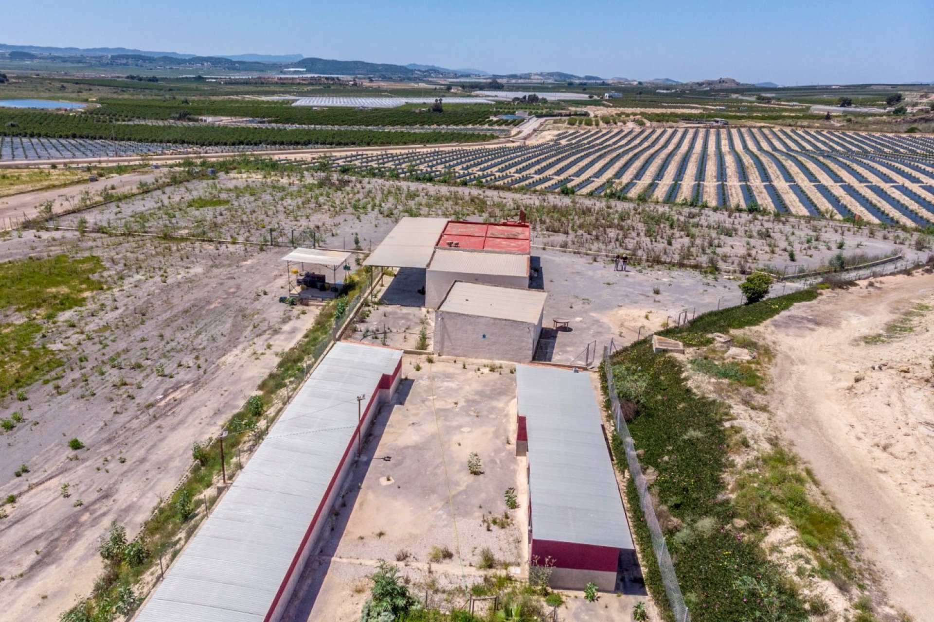 Revente - Finca rústica - Montesinos - LOS MONTESINOS