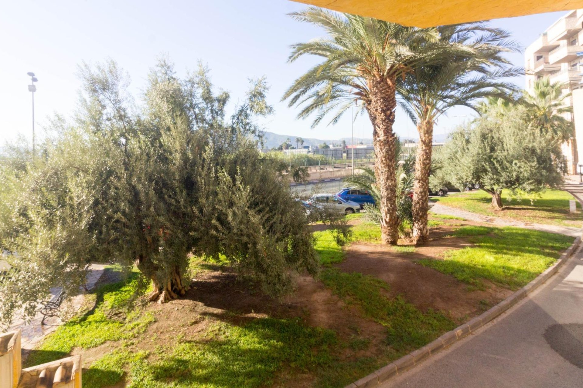 Revente - Local comercial - Orihuela