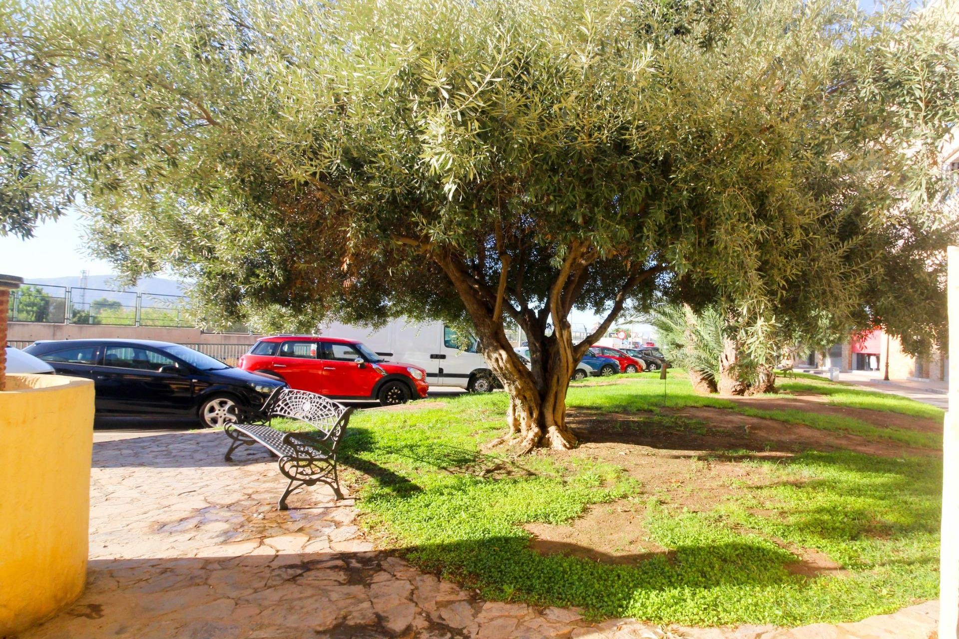 Revente - Local comercial - Orihuela