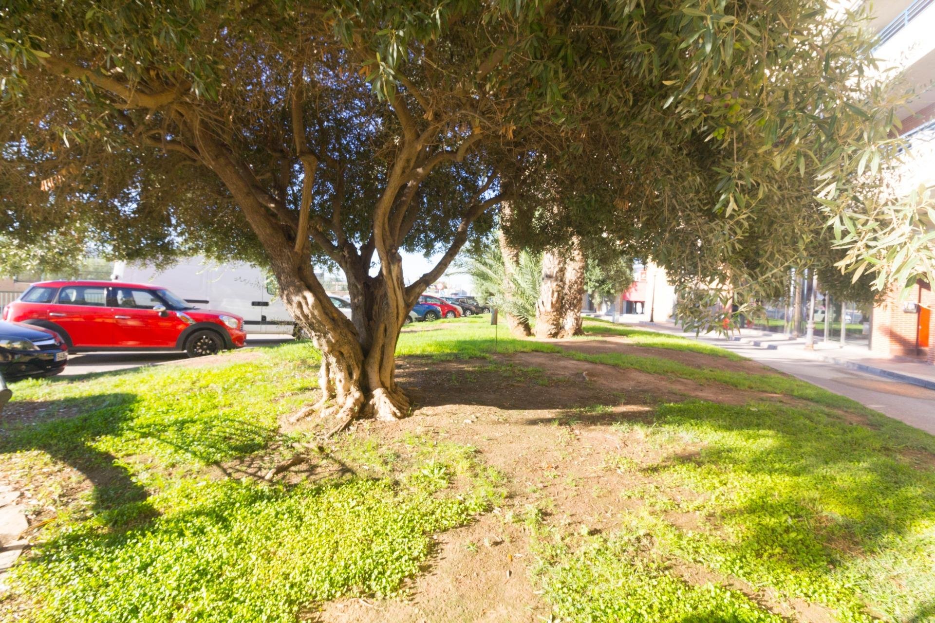 Revente - Local comercial - Orihuela