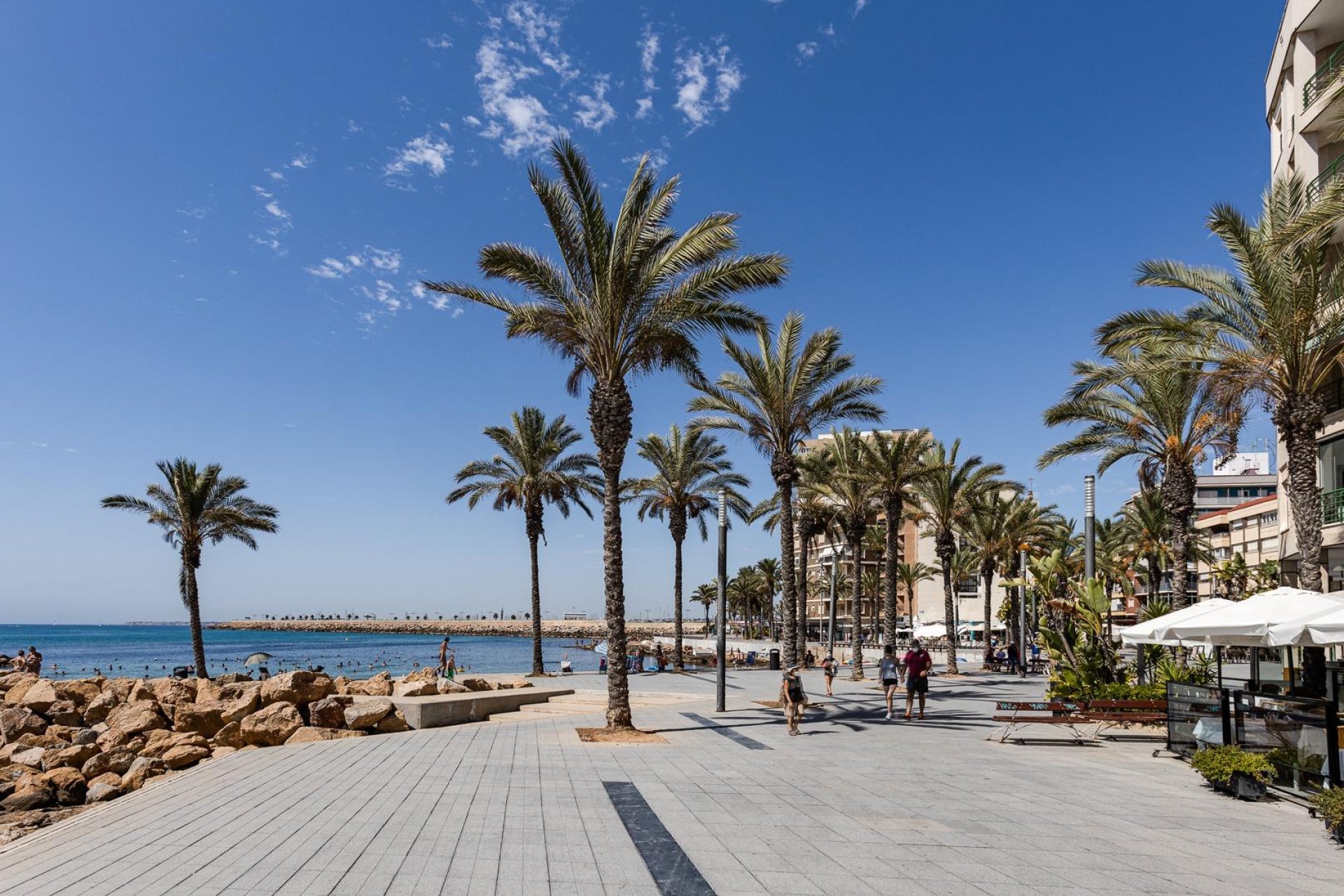 Revente - Local comercial - Torrevieja - Estacion de autobuses