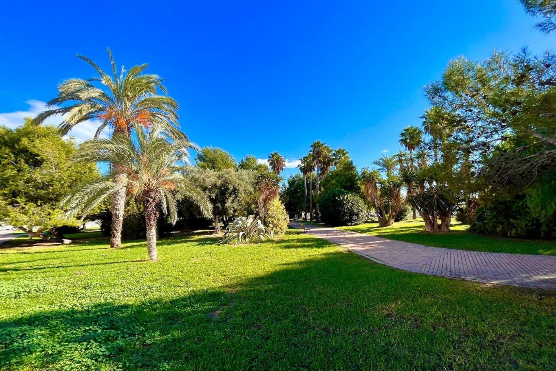 Revente - Maison de ville - Torrevieja - Calas blanca