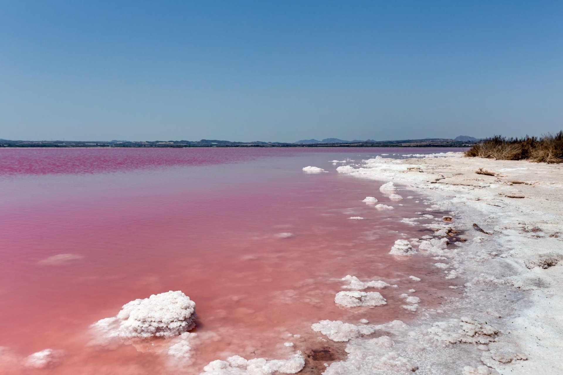 Revente - Maison de ville - Torrevieja - La Siesta - El Salado - Torreta