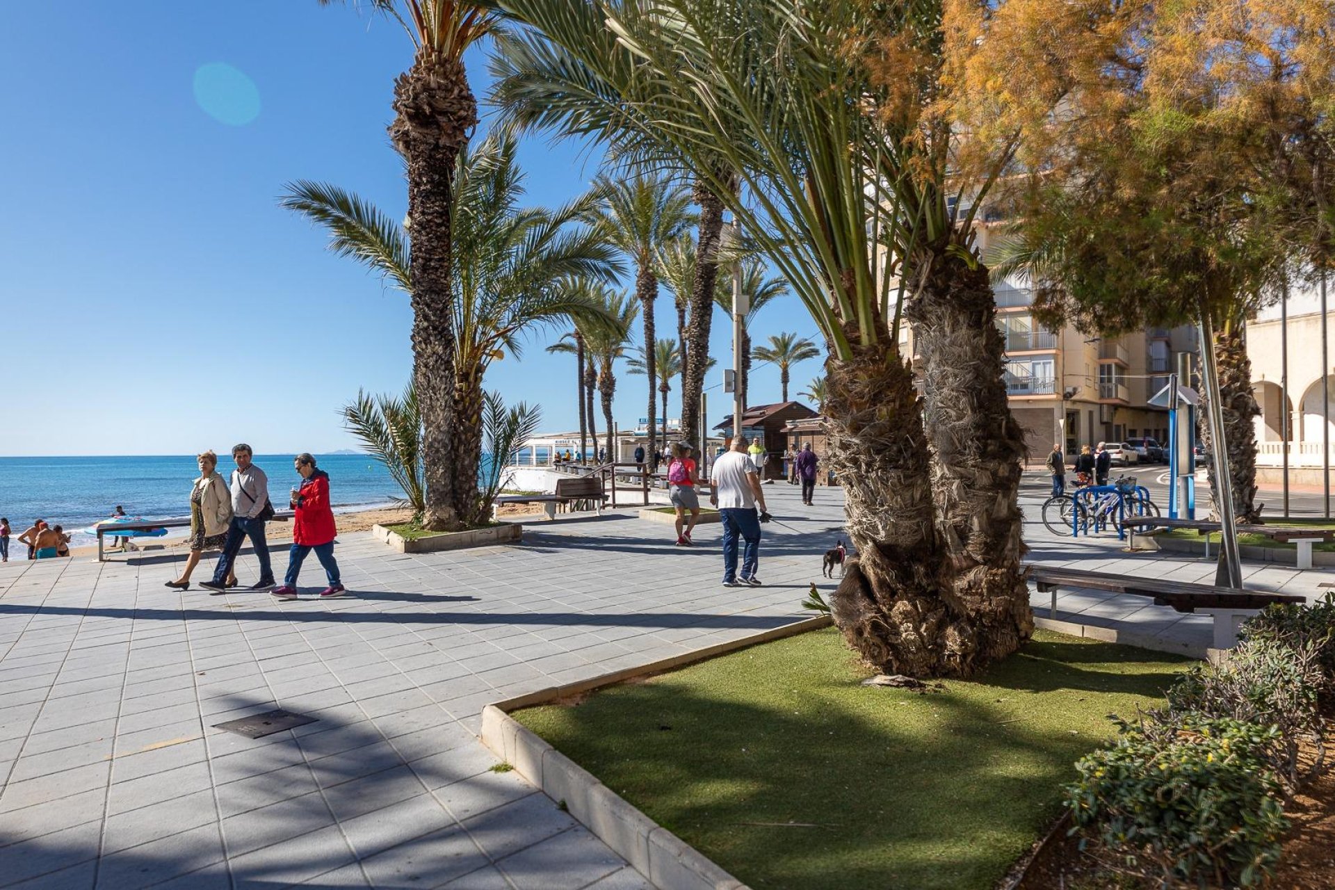 Revente - Maison de ville - Torrevieja - Paseo maritimo