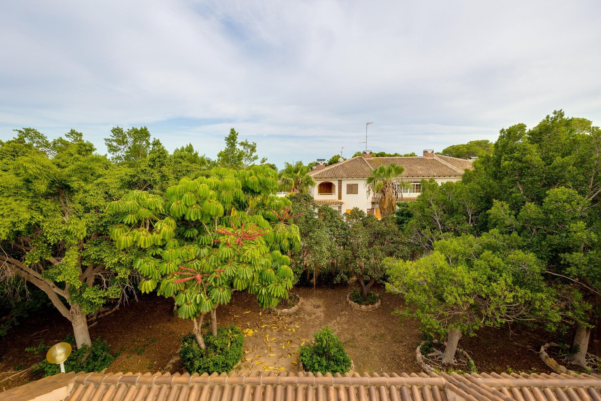 Revente - Maison de ville - Torrevieja - Rocio del mar