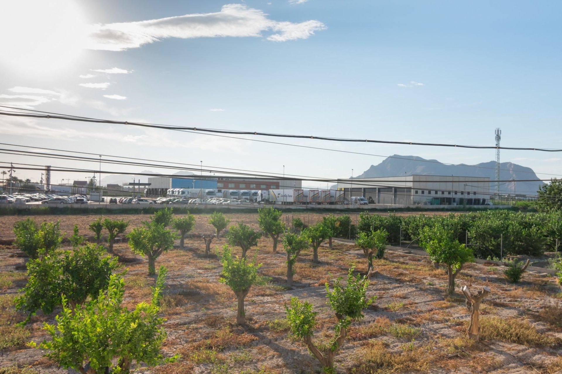 Revente - Nave industrial - Benejúzar - Comunidad valenciana