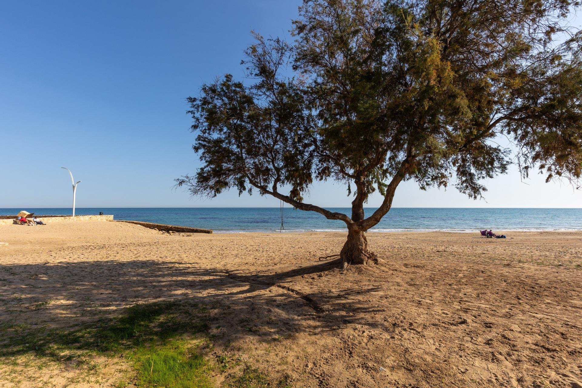 Revente - Piso - Torrevieja - La Mata pueblo