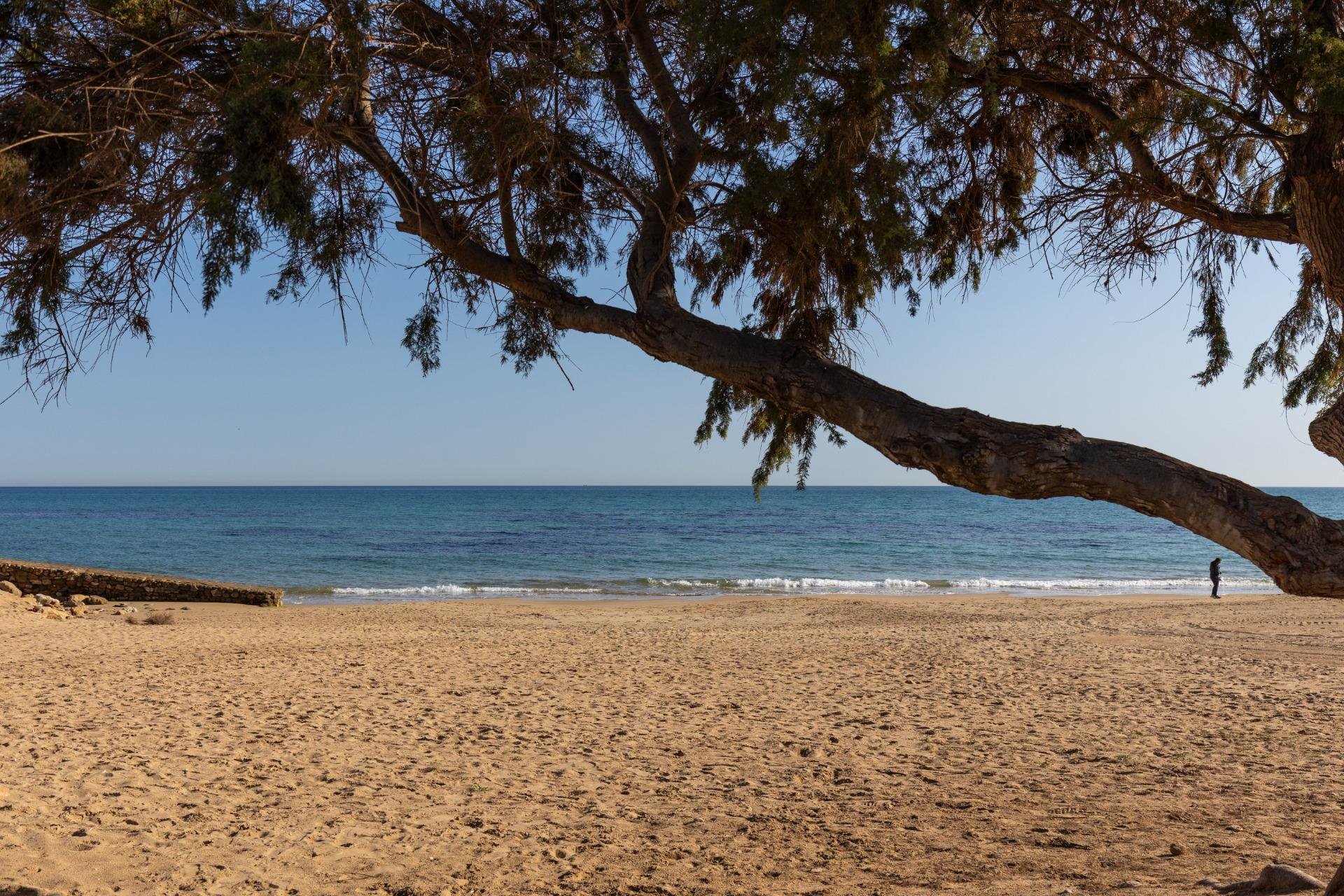 Revente - Piso - Torrevieja - La Mata pueblo