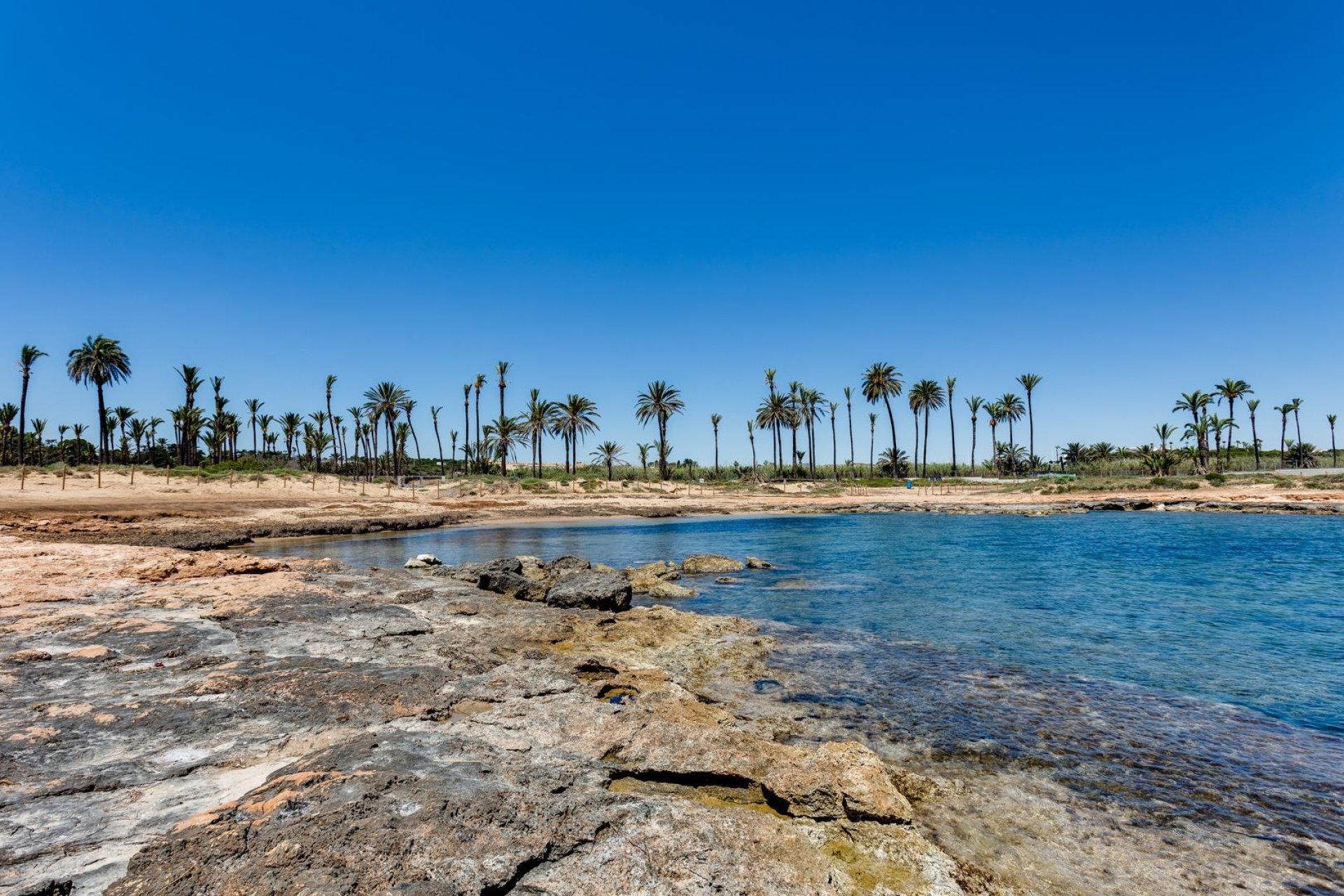 Revente - Piso - Torrevieja - La veleta