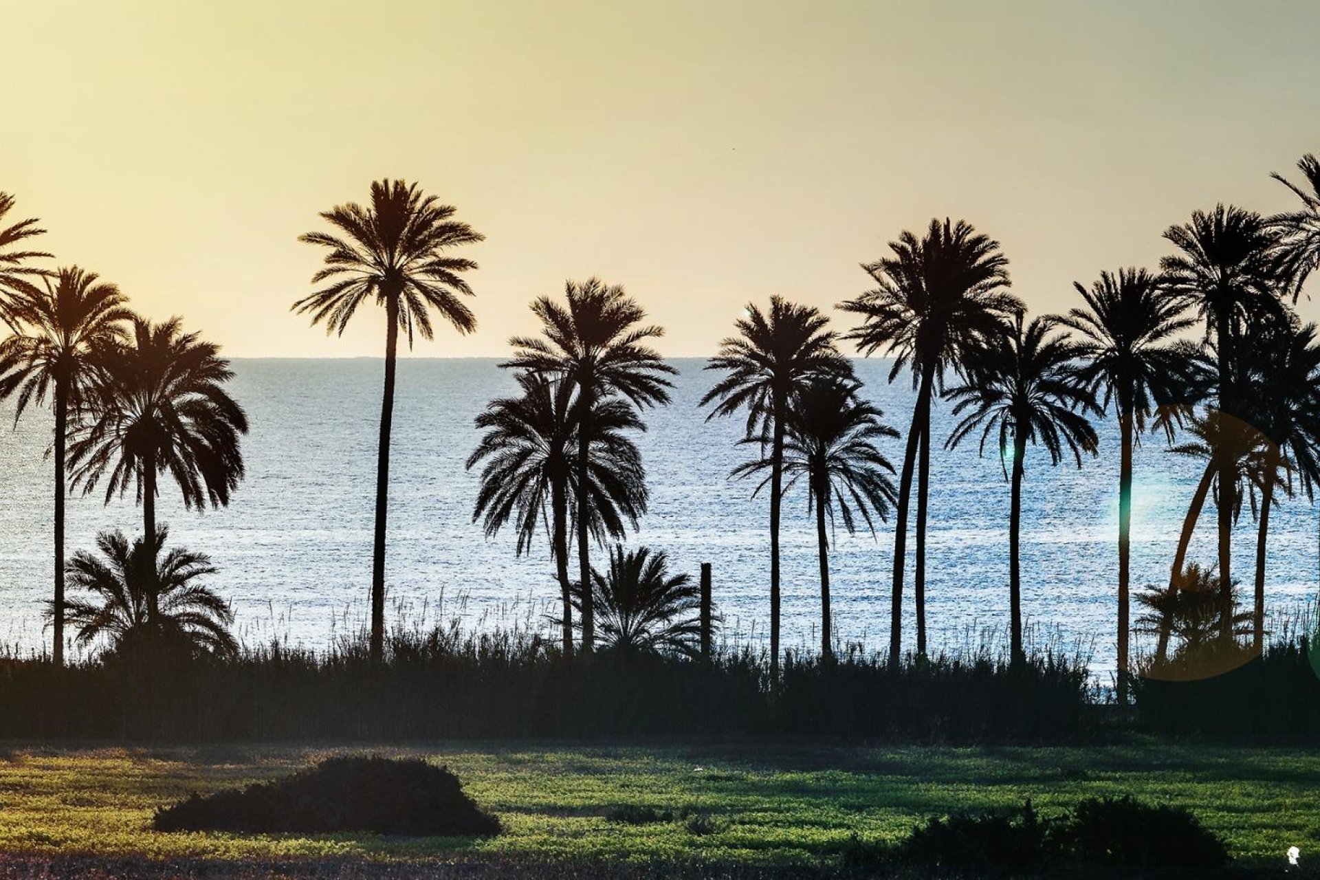 Revente - Piso - Torrevieja - La veleta
