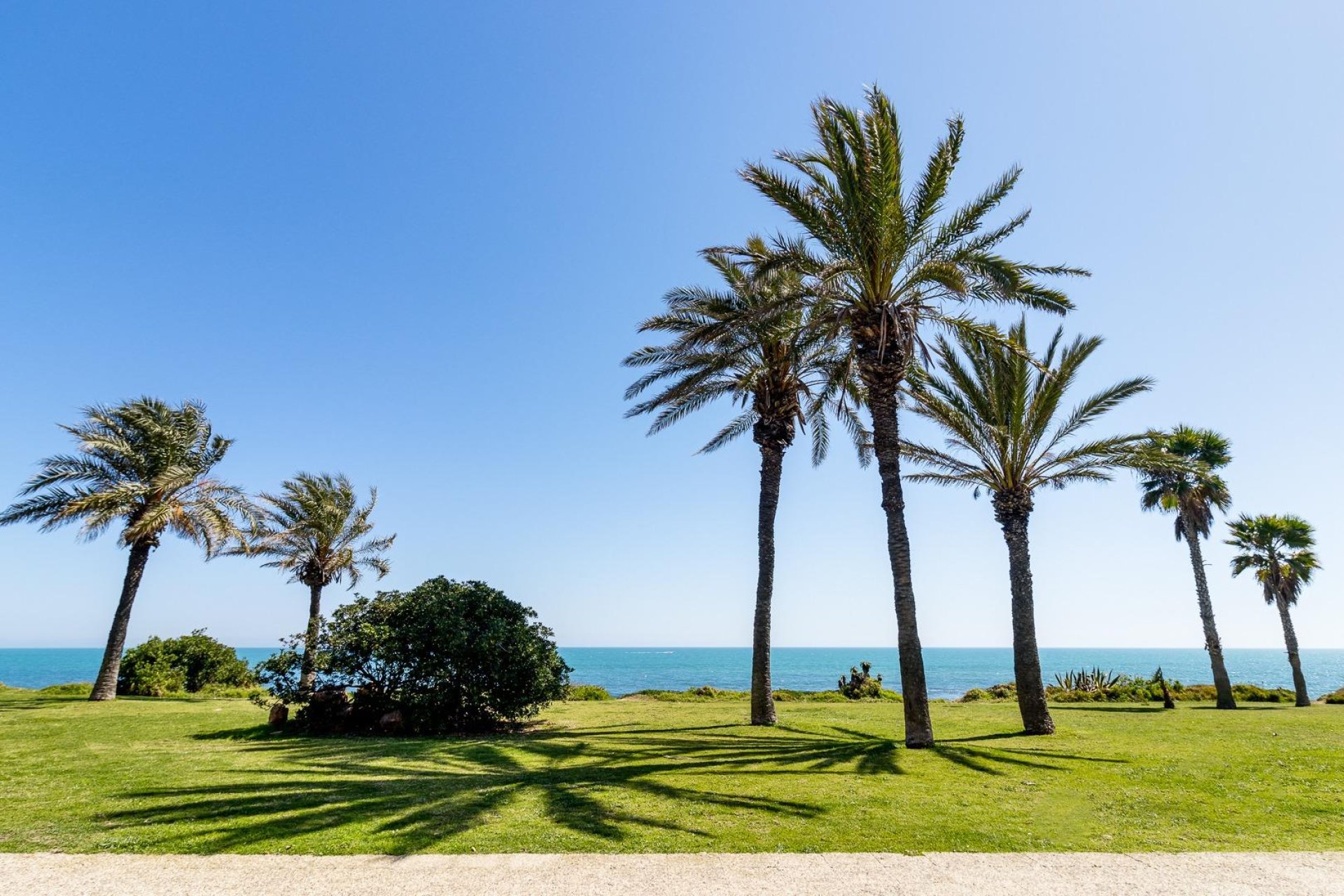 Revente - Piso - Torrevieja - La veleta