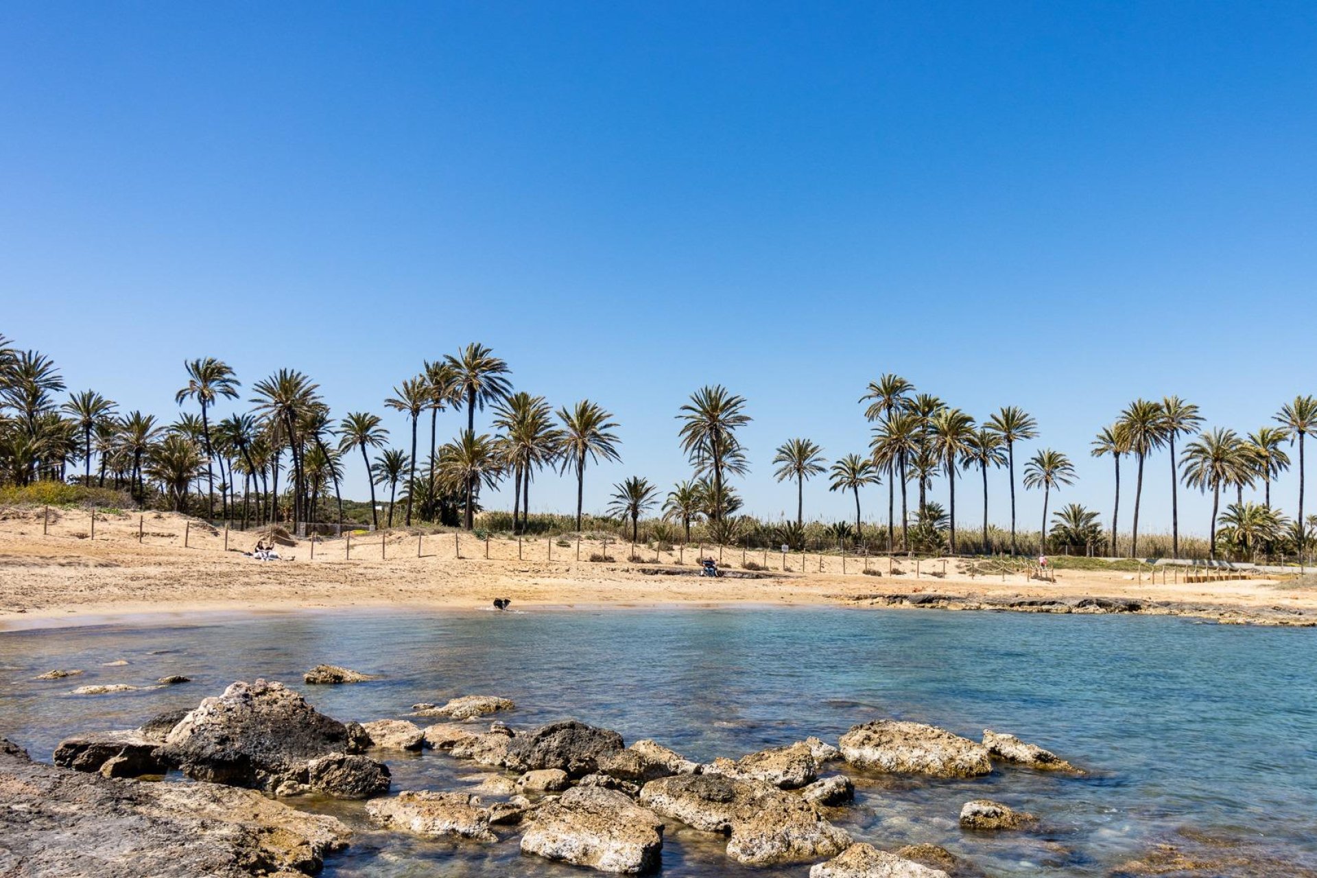 Revente - Piso - Torrevieja - La veleta