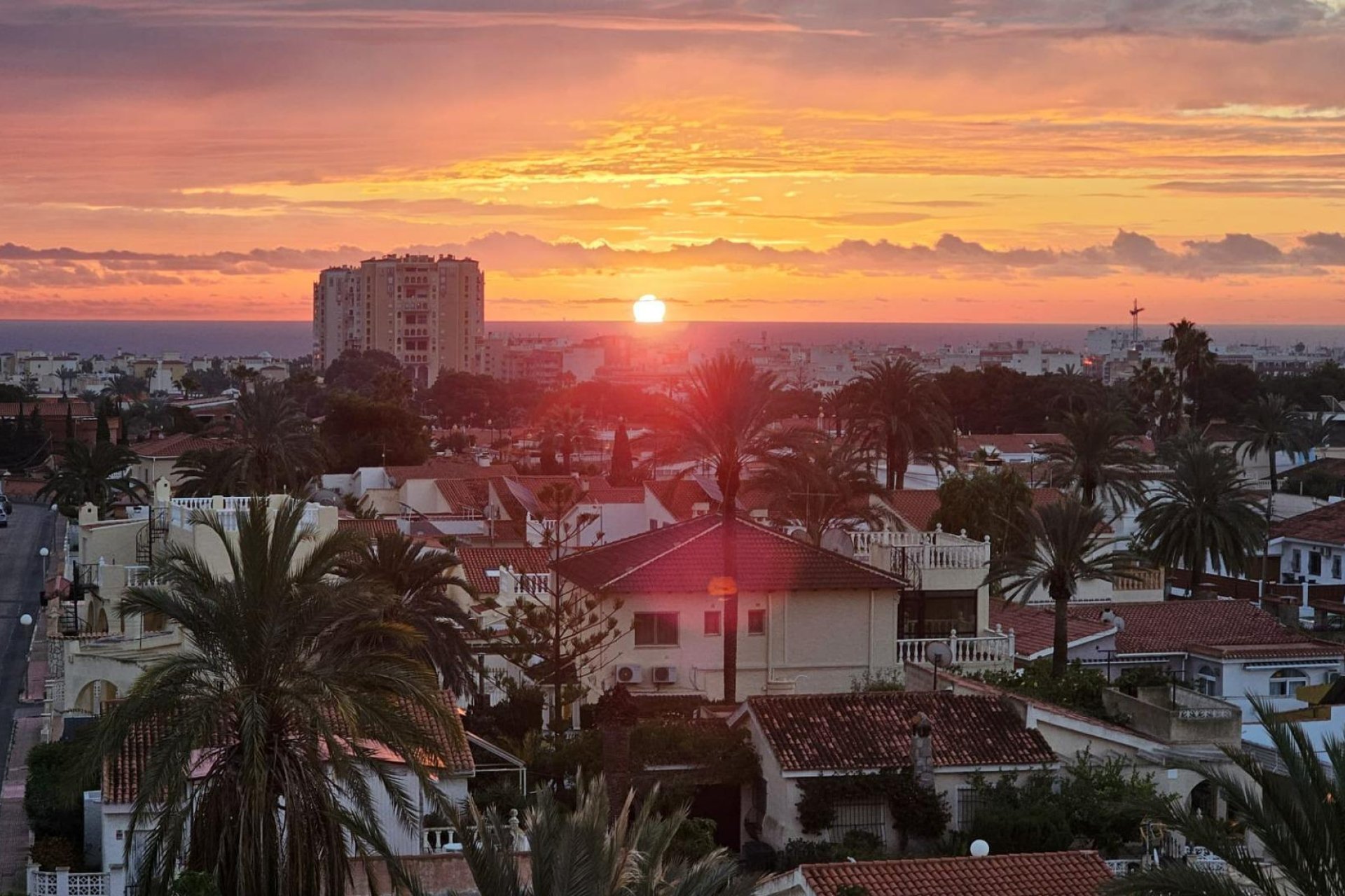 Revente - Piso - Torrevieja - Nueva Torrevieja