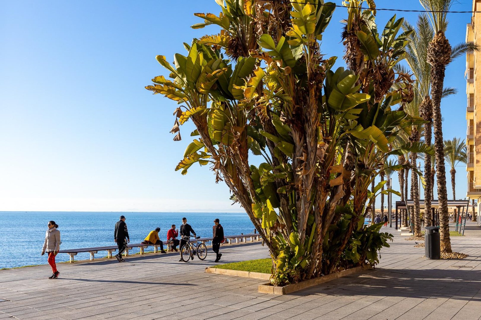 Revente - Piso - Torrevieja - Playa del Cura