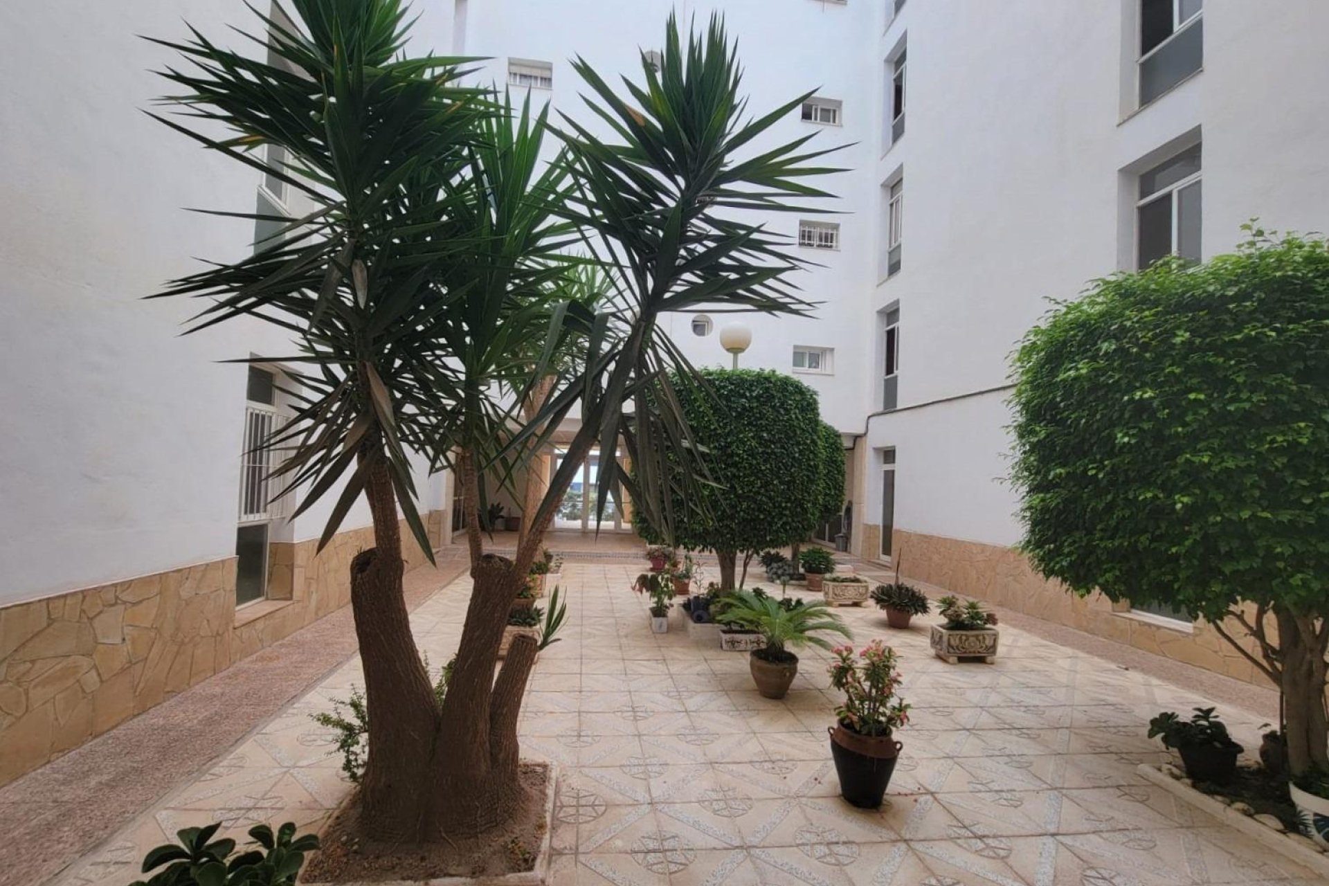 Revente - Planta baja - Torrevieja - Aguas Nuevas