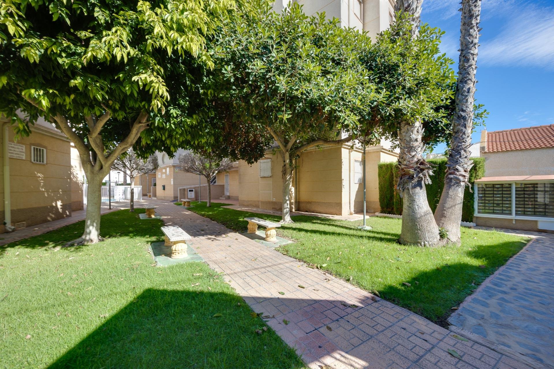 Revente - Planta baja - Torrevieja - Playa de los Locos