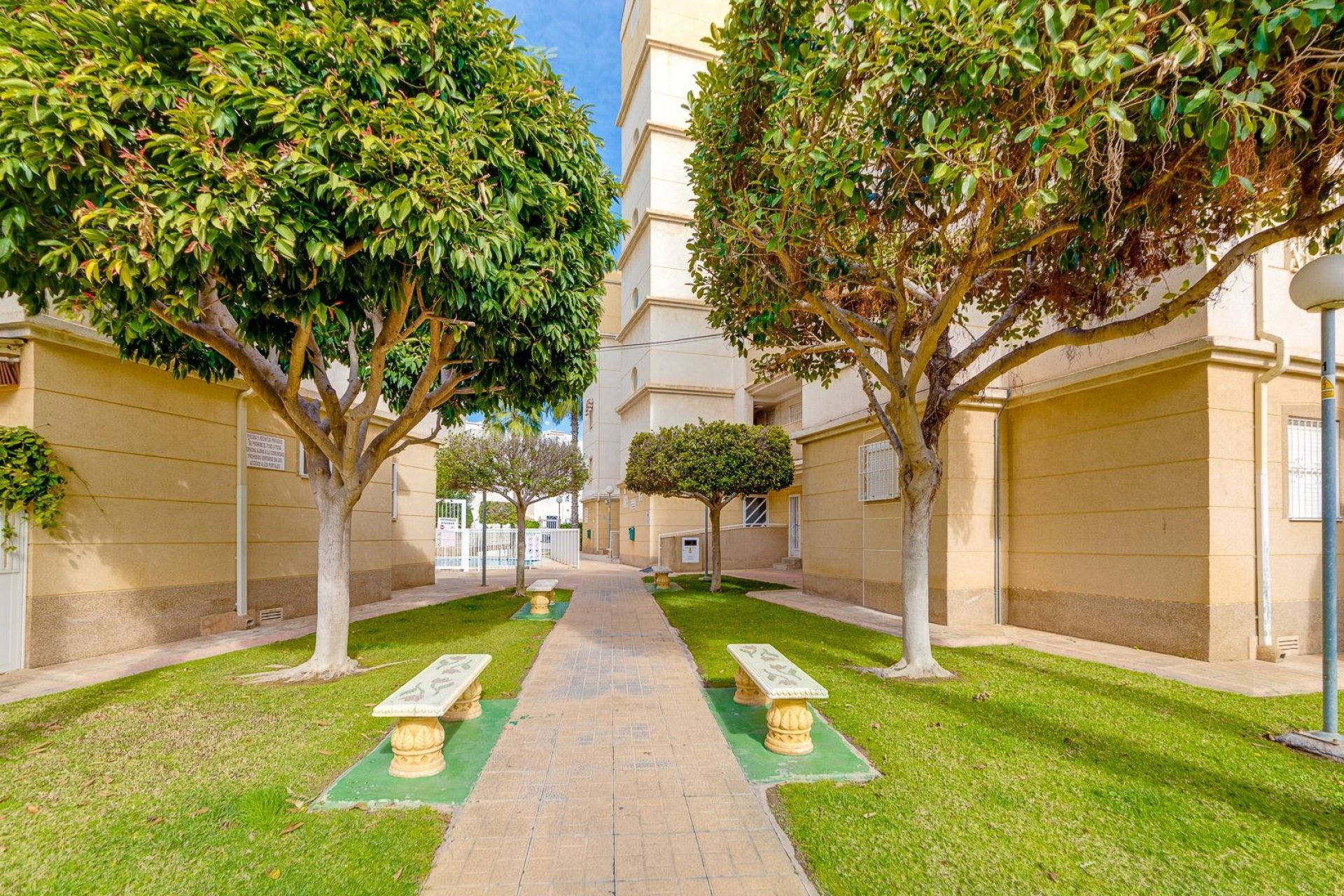 Revente - Planta baja - Torrevieja - Playa de los Locos