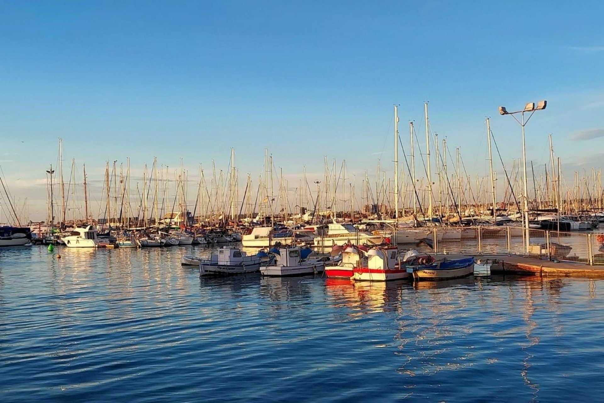 Revente - Planta baja - Torrevieja - Playa del Cura