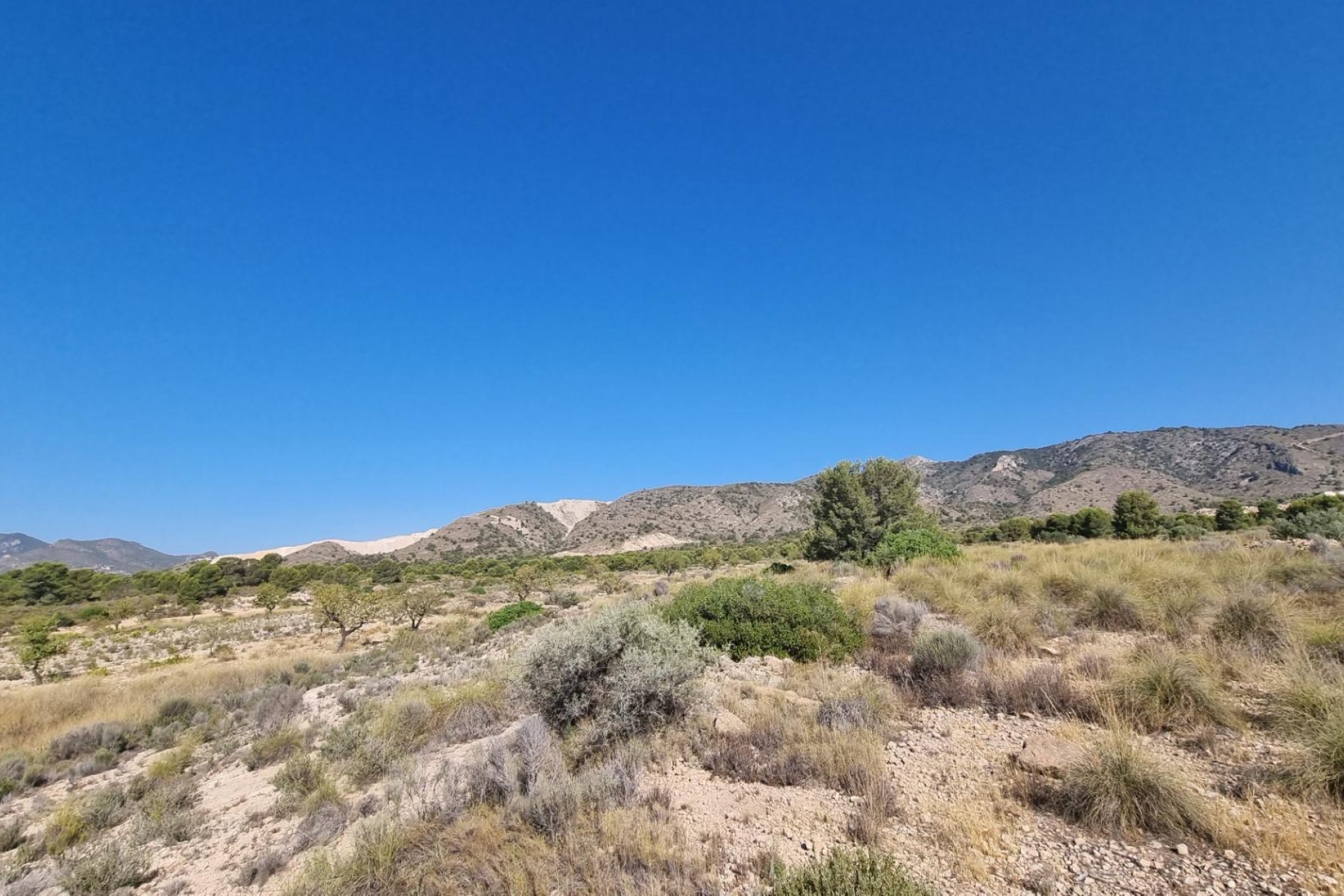 Revente - Terreno rural - Abanilla - ABANILLA