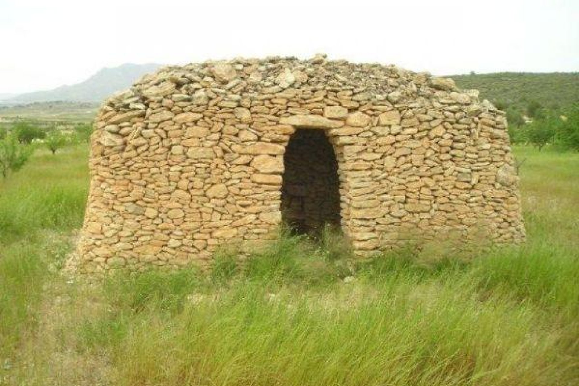 Revente - Terreno rural - Jumilla - CAÑADA DEL TRIGO