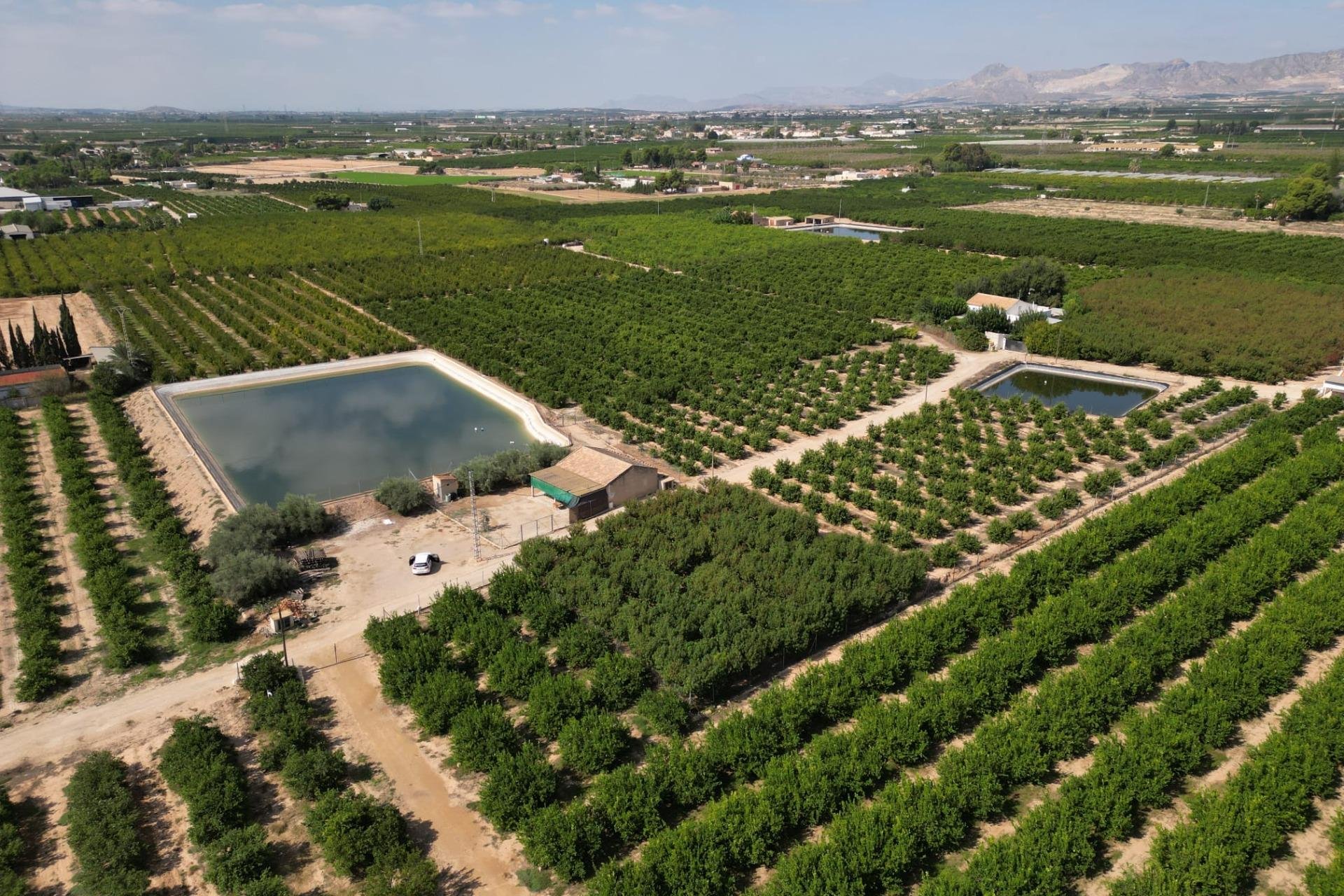 Revente - Terreno rural - Orihuela - La Murada-Los Vicentes