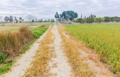 Terreno rural - Resale - Callosa de Segura - CALLOSA