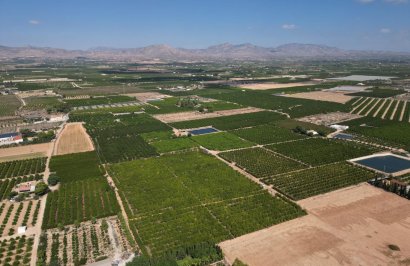 Terreno rural - Resale - Orihuela - La Murada-Los Vicentes