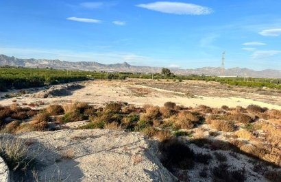 Terreno rural - Reventa - Benferri - 02065