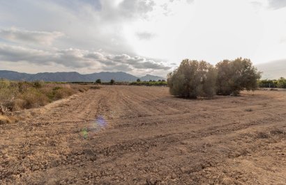 Terreno rural - Reventa - Benferri - Campo