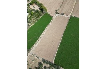 Terreno rural - Reventa - Callosa de Segura - 01510