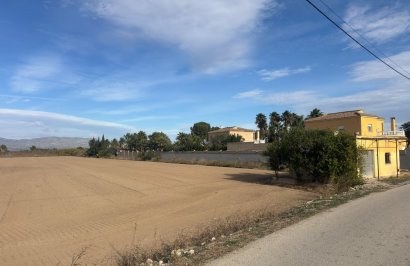 Terreno rural - Reventa - Catral - Arroba La Madriguera