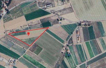 Terreno rural - Revente - Cox - Comunidad valenciana