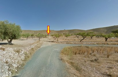 Terreno rural - Revente - Hondón de las Nieves - REBALSO