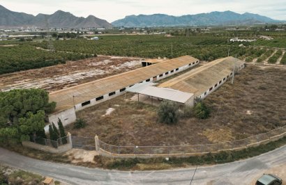 Terreno rural - Revente - Orihuela - La Murada-Los Vicentes