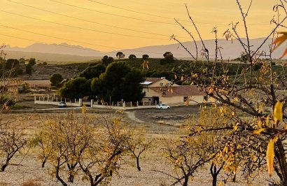 Terreno urbanizable - Revente - Pinoso - A 2 km de la ciudad
