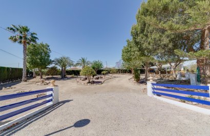 Reventa - Chalet - Orihuela - Correntías Bajas