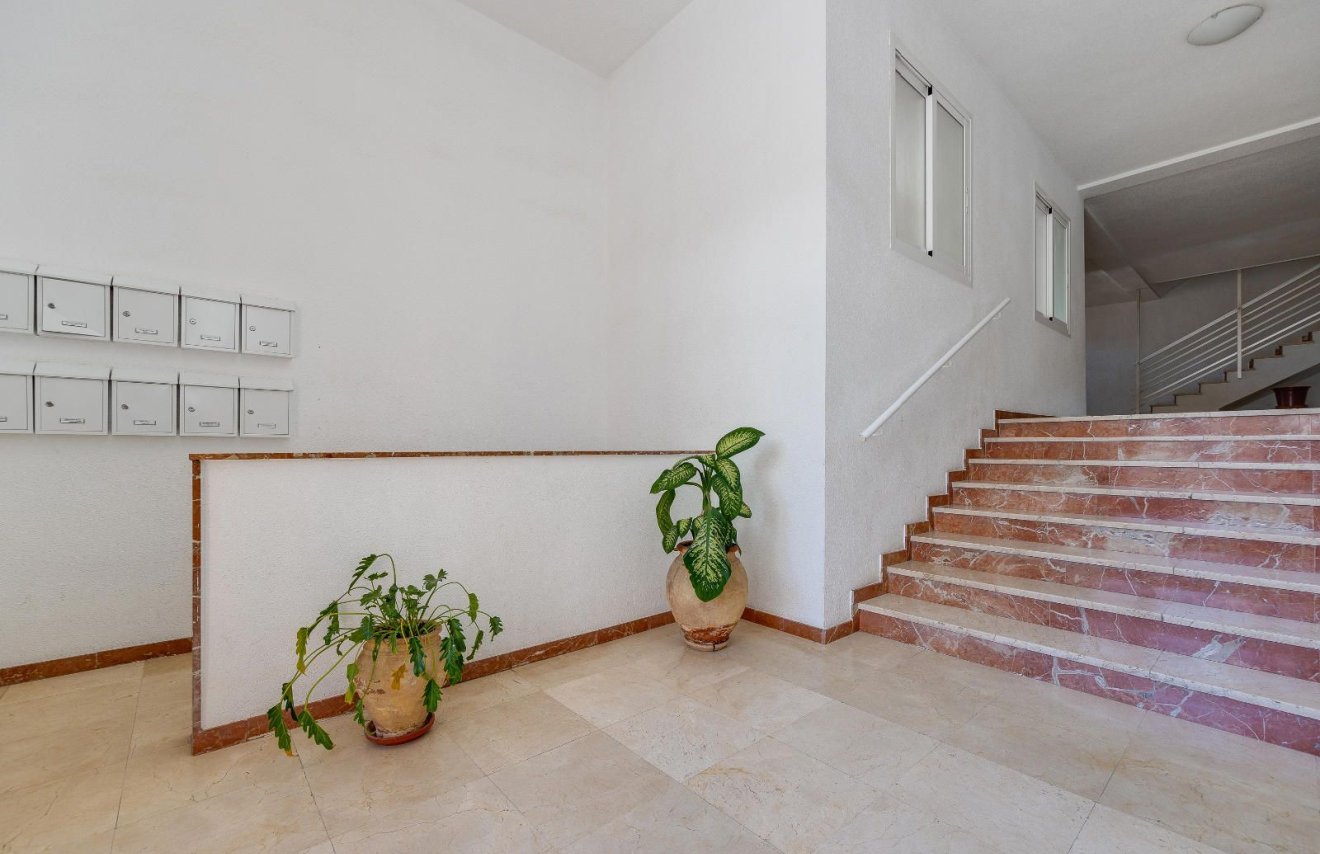 Revente - Apartamento - San Pedro del Pinatar - ANTOLINOS