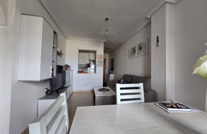 Reventa - Apartamento - Torrevieja - Centro