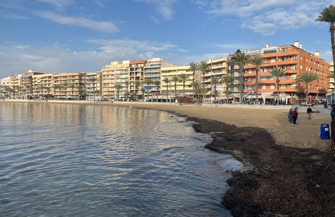 Reventa - Apartamento - Torrevieja - Playa del Cura