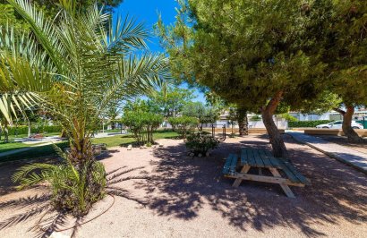 Resale - Chalet - Torrevieja - Torreta florida